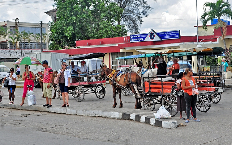 Coches de caballo en Santa Clara.