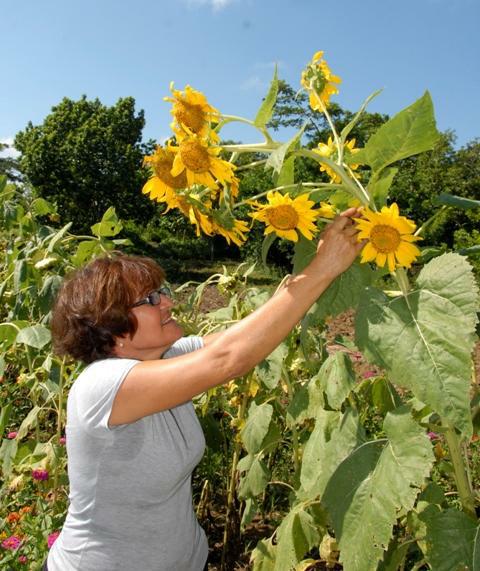 Lidia Cano, profesora universitaria y floricultora.