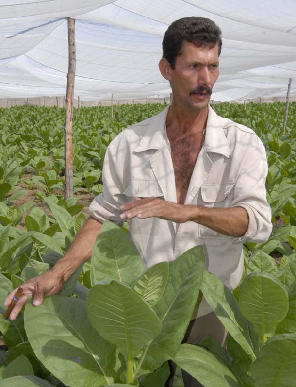Carlos Manuel San Martí­n Quintana, Ciro Rendondo, Manicaragua, Villa Clara.