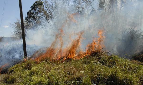 Incendio Forestal, Villa Clara.