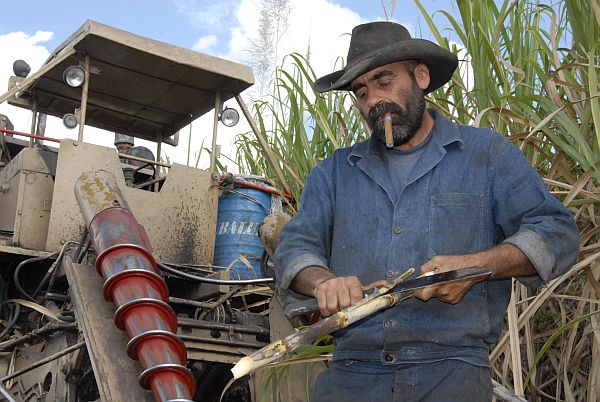 Guillermo Ramí­rez, operador de combinada.