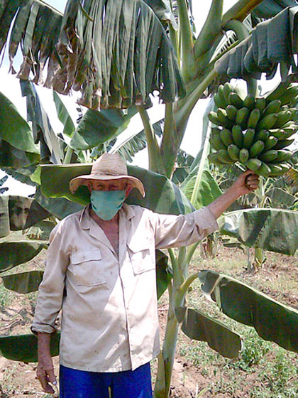 Productor José Antonio Chávez. Productor José Antonio Chávez.