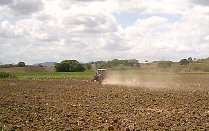 Preparación de tierras para cultivos en Manicaragua, Villa Clara, Cuba. Preparación de tierras para cultivos en Manicaragua, Villa Clara, Cuba.