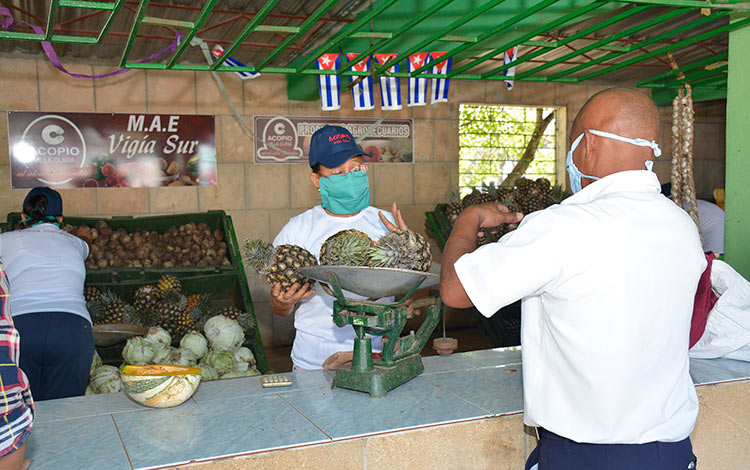 Mercado agropecuario en el consejo popular Vigí­a Sur, de Santa Clara.