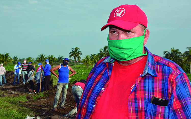 Juan Miguel Fonseca, administrador del organopónico Las Marianas, de Santa Clara. Juan Miguel Fonseca, administrador del organopónico Las Marianas, de Santa Clara.
