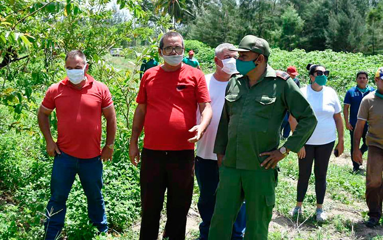 Alberto López Díaz, vicepresidente del Consejo de Defensa Provincial de Villa Clara, recorre polo productivo de Dolores. Alberto López Díaz, vicepresidente del Consejo de Defensa Provincial de Villa Clara, recorre polo productivo de Dolores.