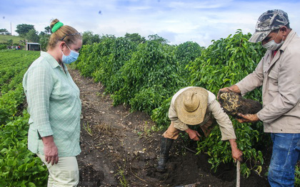 Yudí Rodríguez Hernández, primera secretaria del Partido en Villa Clara, en la finca del campesino camajuanense Maikel Santana. Yudí Rodríguez Hernández, primera secretaria del Partido en Villa Clara, en la finca del campesino camajuanense Maikel Santana.