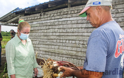 Yudí Rodríguez Hernández, primera secretaria del Partido en Villa Clara, en la finca del campesino camajuanense Germán Broche Molina. Yudí Rodríguez Hernández, primera secretaria del Partido en Villa Clara, en la finca del campesino camajuanense Germán Broche Molina.