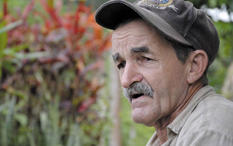 Marcial Fuentes González, campesino de la CCS Ignacio Pérez Ríos. Marcial Fuentes González, campesino de la CCS Ignacio Pérez Ríos.