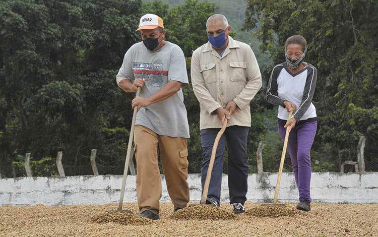 Secadero de café en Manicaragua. Secadero de café en Manicaragua.
