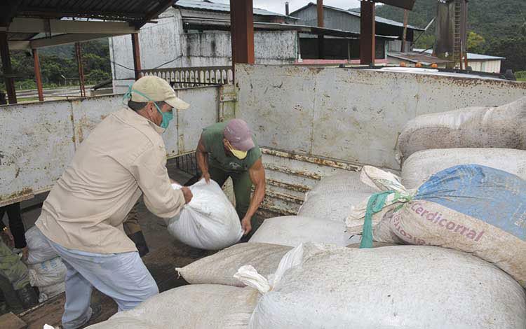 Unidad de Beneficio y Comercialización del café en Jibacoa, Manicaragua. Unidad de Beneficio y Comercialización del café en Jibacoa, Manicaragua.