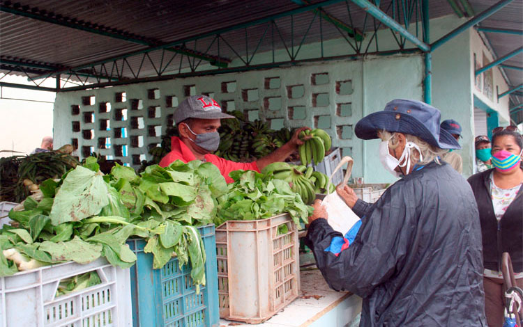 Venta de vegetales de hoja en mercado de Santa Clara, Venta de vegetales de hoja en mercado de Santa Clara,