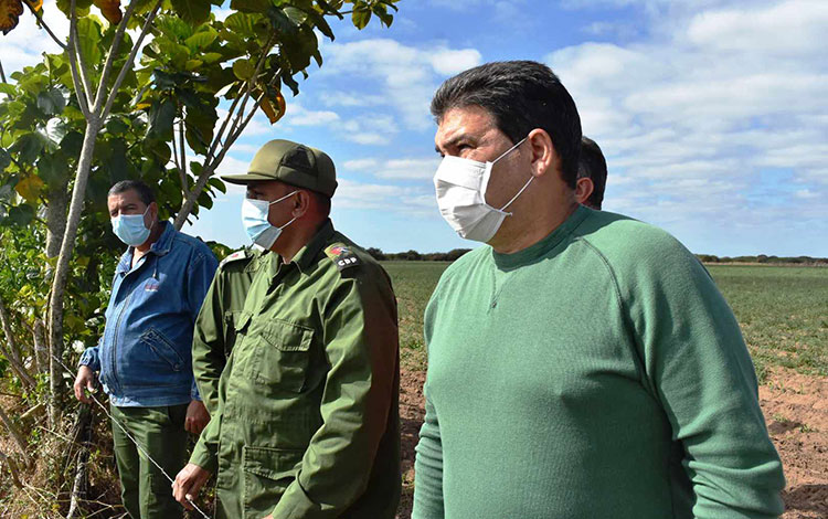 Alain Rodríguez, delegado de la Agricultura en Villa Clara. Alain Rodríguez, delegado de la Agricultura en Villa Clara.