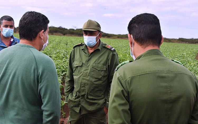 Gobernador de Villa Clara, Alberto López Díaz, durante su recorrido por el polo agropecuario Manacas-Cascajal, en Santo Domingo, Villa Clara. Gobernador de Villa Clara, Alberto López Díaz, durante su recorrido por el polo agropecuario Manacas-Cascajal, en Santo Domingo, Villa Clara.