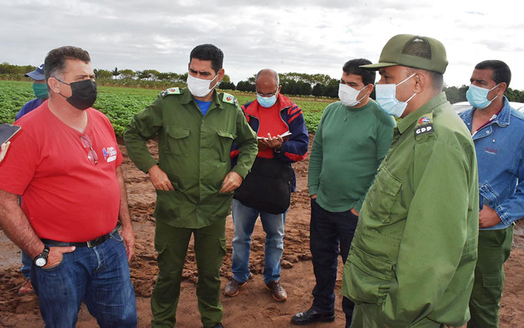 Recorrido por el polo agropecuario de Santo Domingo, Villa Clara. Recorrido por el polo agropecuario de Santo Domingo, Villa Clara.
