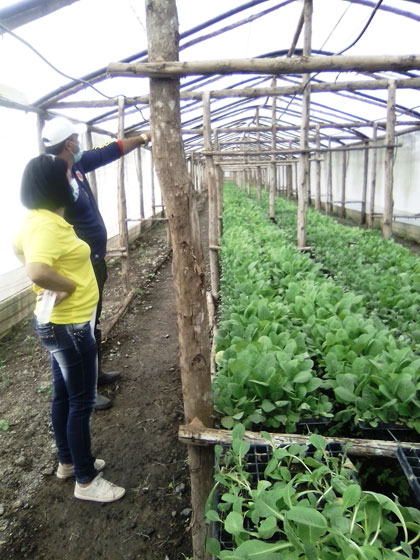 Vicegobernadora de Villa Clara recorre finca de Noel Bení­tez, en Tahón.