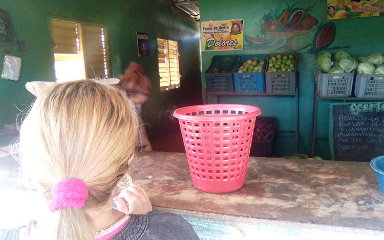 Placita agropecuaria en la comunidad de Dolores, en Caibarién.