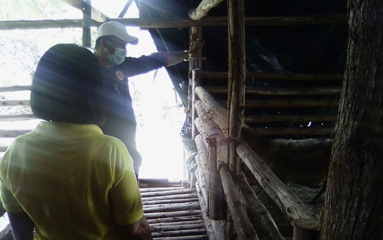 Módulo pecuario en la finca La Veguita, de Tahón.