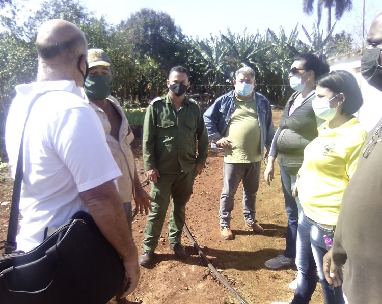 Vicegobernadora de Villa Clara, Milaxys Sánchez Armas, recorre polo productivo de Dolores, en Caibarién.