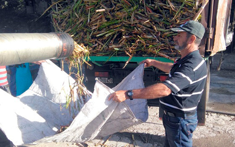 Prueba de implemento agrícola creado en Villa Clara, en el central Ifraín Alfonso, en Ranchuelo. Prueba de implemento agrícola creado en Villa Clara, en el central Ifraín Alfonso, en Ranchuelo.