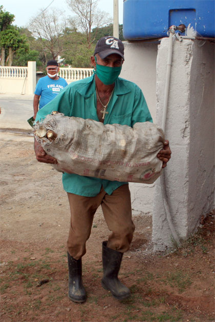 Agricultor de Mataguá. Agricultor de Mataguá.