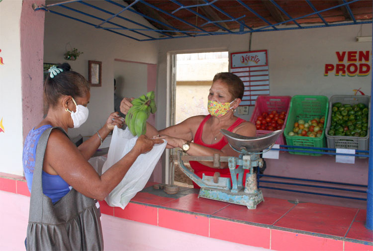 Punto de venta de productos agrícolas en Mataguá. Punto de venta de productos agrícolas en Mataguá.