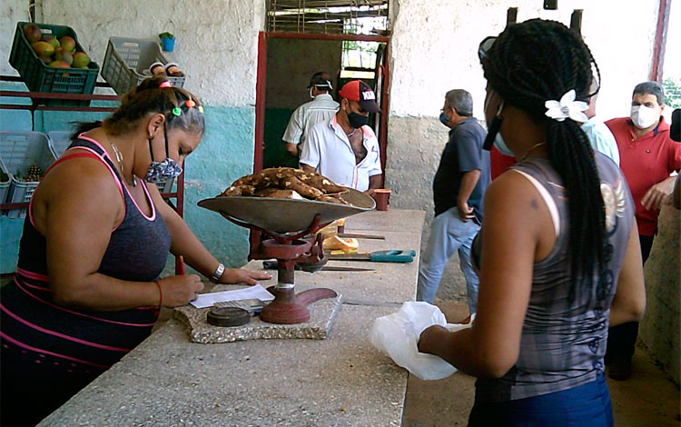 Presencia de viandas y frutas en un mercado agropecuario de Cifuentes, en Villa Clara. Presencia de viandas y frutas en un mercado agropecuario de Cifuentes, en Villa Clara.