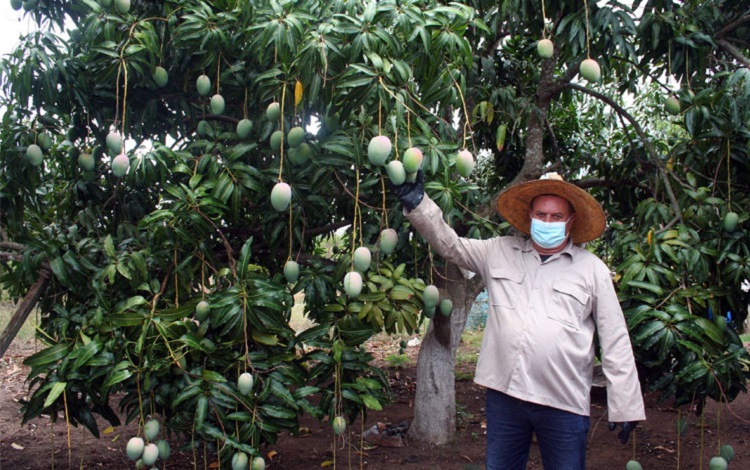 Vanguardia - Villa Clara - Cuba