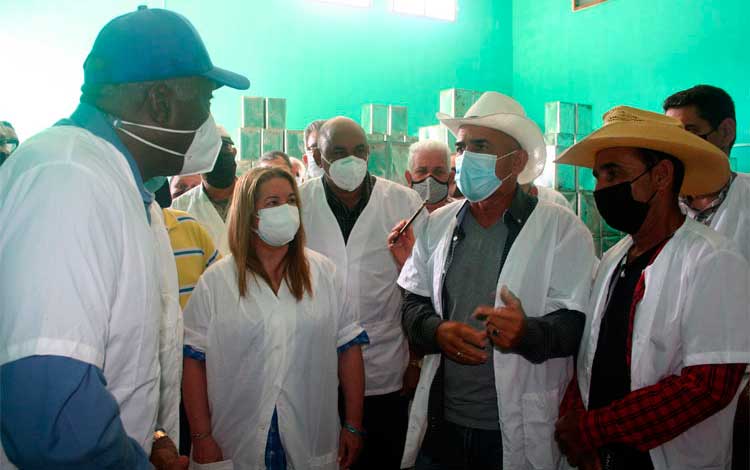 Imagen de del reciente recorrido del vicepresidente de Cuba, Salvador Valdés Mesa, por la minindustria de La Luisa. Imagen de del reciente recorrido del vicepresidente de Cuba, Salvador Valdés Mesa, por la minindustria de La Luisa.