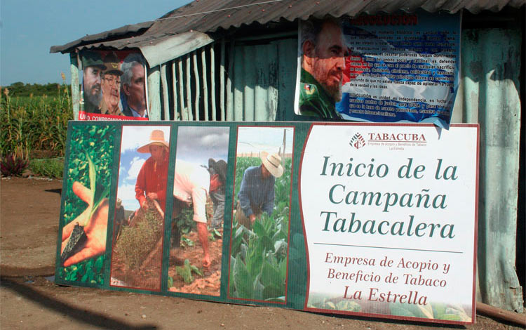 Cartel del inicio de la campaña tabacalera en la empresa La Estrella, de Villa Clara. Cartel del inicio de la campaña tabacalera en la empresa La Estrella, de Villa Clara.