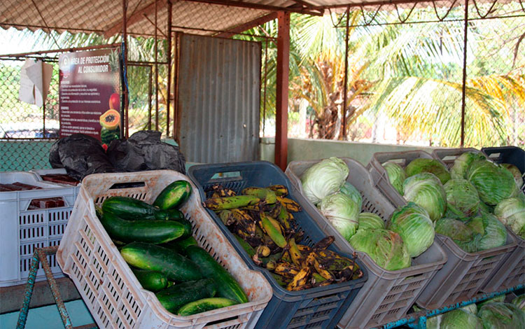 Mercado agropecuario en Villa Clara.