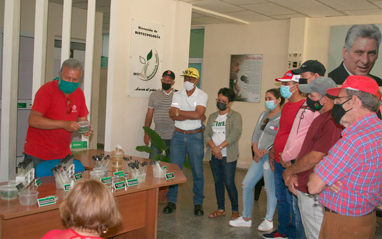 El investigador Dr. .Víctor Reinaldo Mederos Vega, en el Inivit, abordó las estrategias de mejoramiento genético destinadas a la producción agrícola cubana. El investigador Dr. .Víctor Reinaldo Mederos Vega, en el Inivit, abordó las estrategias de mejoramiento genético destinadas a la producción agrícola cubana.