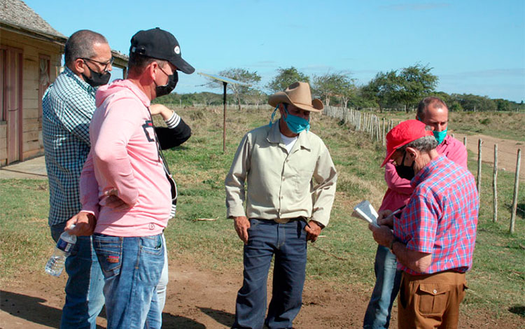 Mariano Quintero Almeida, productor acogido al proyecto de IRES en Villa Clara. Mariano Quintero Almeida, productor acogido al proyecto de IRES en Villa Clara.