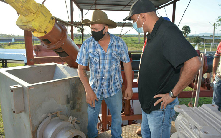 Hace 25 años comenzó su trabajo con 80 cerdos y hoy llega a una capacidad de ceba de 3000 ejemplares e insiste, de acuerdo con las sugerencias de Fidel, en los basamentos de la ciencia de mejorar las razas porcinas en el país
