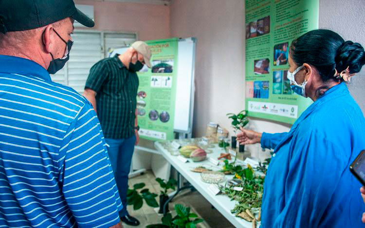 Visita al aula de capacitación de la Estación Experimental del Café en Jibacoa. Visita al aula de capacitación de la Estación Agroforestal de JIbacoa.