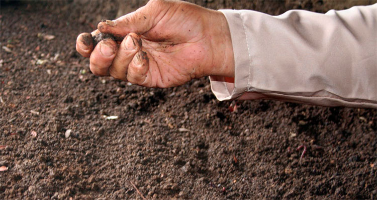 Producción de abono orgánico con compost. Producción de abono orgánico con compost.
