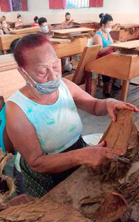 Andrea Contreras Hurtado, un ejemplo de laboriosidad y constancia. (Foto: Dayani Gil Moreno) Andrea Contreras Hurtado, un ejemplo de laboriosidad y constancia. (Foto: Dayani Gil Moreno)