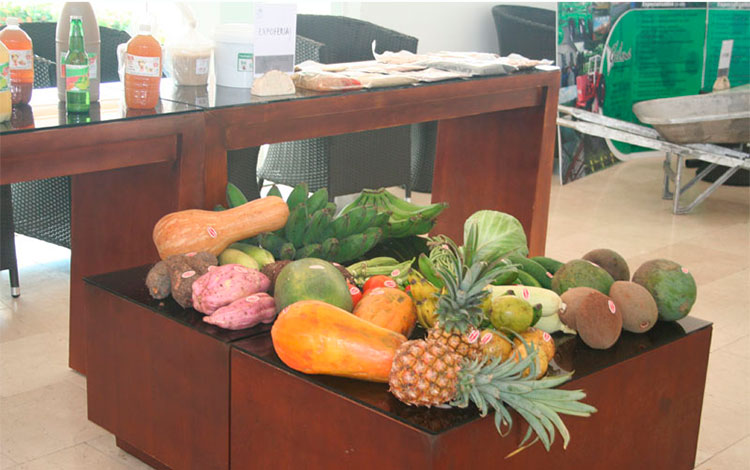Frutas y vegetales destinados al Turismo. Frutas y vegetales destinados al Turismo.