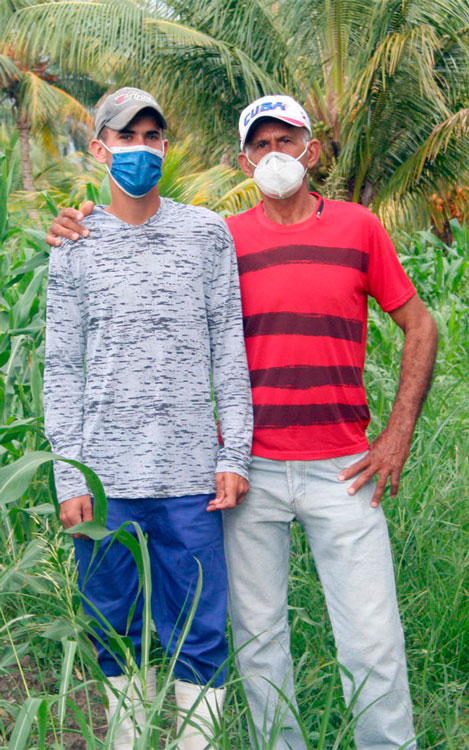 Francisco, y su hijo Frank Alejandro, campesinos de Caibarién, empeñados en el fomento del cultivo de coco y programas vianderos. (Foto: Luis Machado Ordetx) Francisco, y su hijo Frank Alejandro, campesinos de Caibarién, empeñados en el fomento del cultivo de coco y programas vianderos. (Foto: Luis Machado Ordetx)