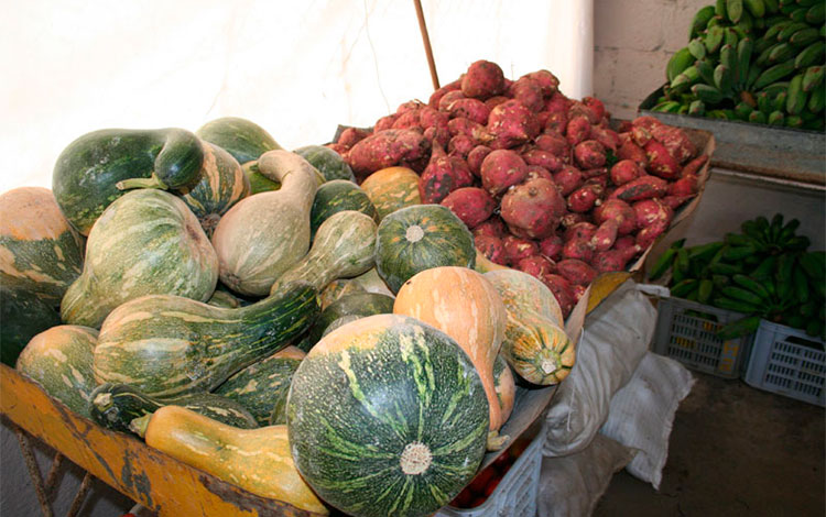 La variedad y volumen de ofertas de calidad son fundamentales para descender los excesivos precios de venta de alimentos. (Foto: Luis Machado Ordetx) La variedad y volumen de ofertas de calidad son fundamentales para descender los excesivos precios de venta de alimentos. (Foto: Luis Machado Ordetx)