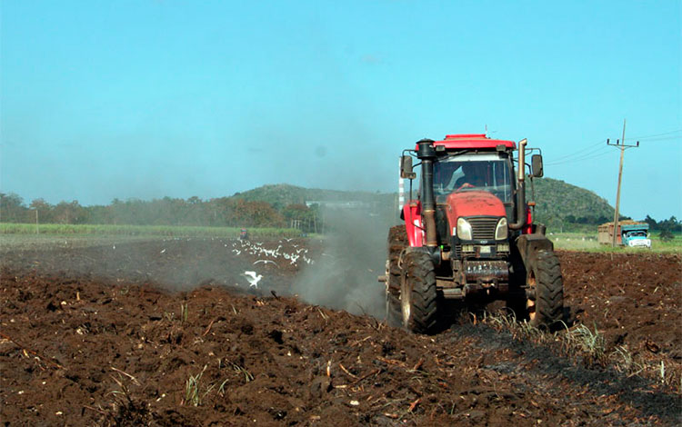 Preparación de tierras en áreas cañeras. Preparación de tierras en áreas cañeras.