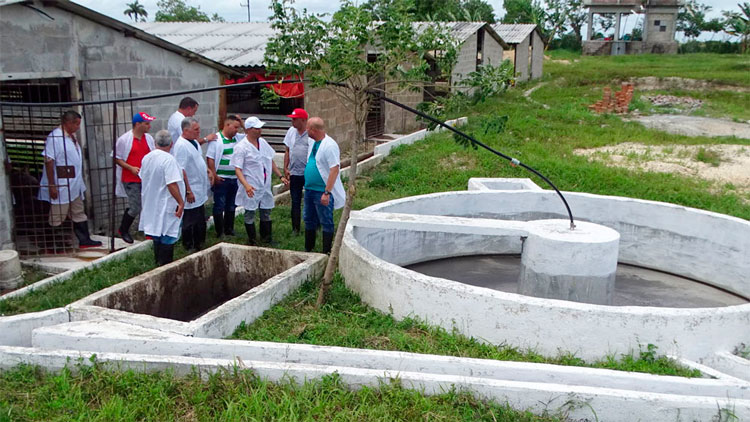 Funcionamiento de biodigestores. Funcionamiento de biodigestores.