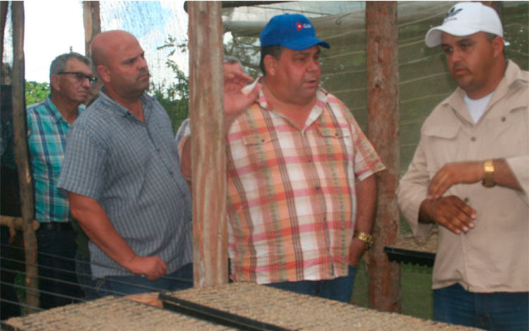 Noel Rolando Benítez Fernández, mayor cosechero de tabaco tapado de Cuba. Noel Rolando Benítez Fernández, mayor cosechero de tabaco tapado de Cuba.