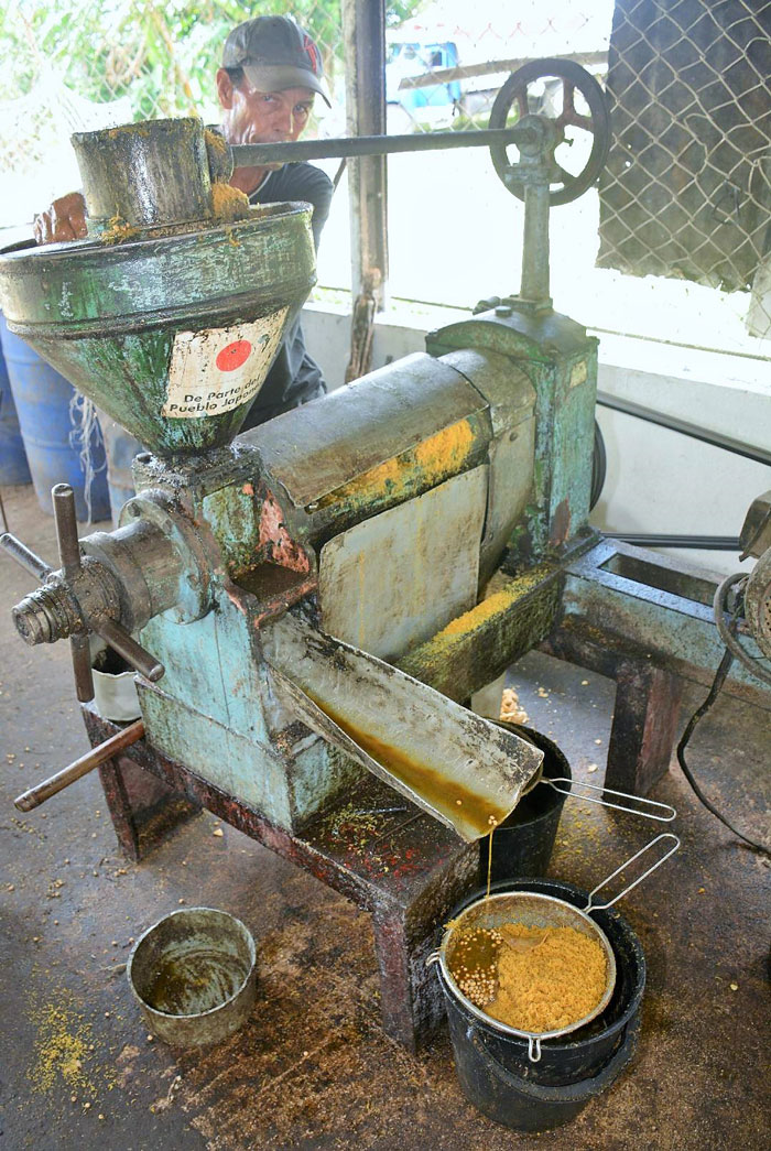 Producción de aceite de soya en la finca de Santiago Cuéllar. Producción de aceite de soya en la finca de Santiago Cuéllar.