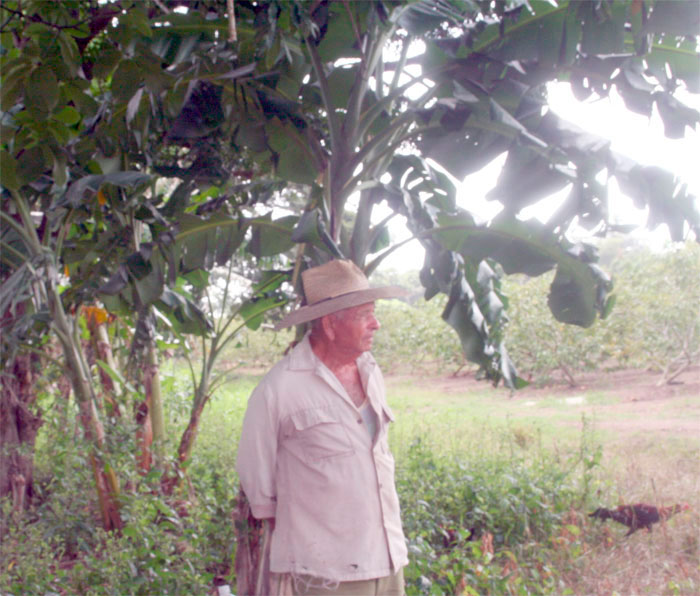 Juan de Dios Hidalgo, productor agrícola. Juan de Dios Hidalgo, productor agrícola.