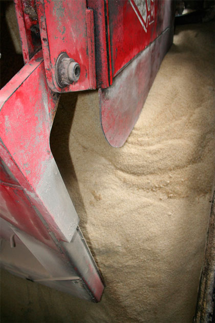 Producción de azúcar refino en la refinería Chiquitico Fabregat. Producción de azúcar refino en la refinería Chiquitico Fabregat.