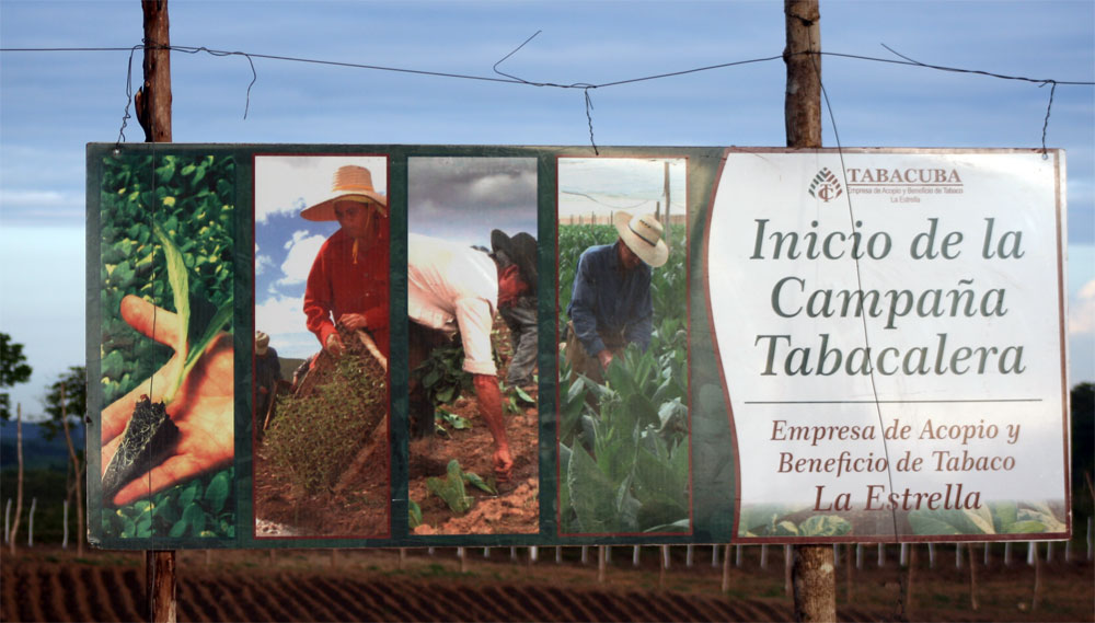 Cartel sobre el inicio de la campaña de siembra de tabaco. Cartel sobre el inicio de la campaña de siembra de tabaco.