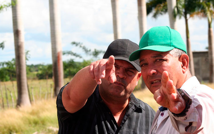 Primer secretario del Partido en Villa Clara se interesa por el aprovechamiento del palmiche en la zona de Carlos Caraballo, en Ranchuelo. Primer secretario del Partido en Villa Clara se interesa por el aprovechamiento del palmiche en la zona de Carlos Caraballo, en Ranchuelo.