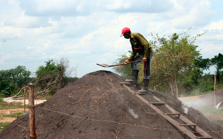 Lejos del monte espeso, y cerca de la línea del Ferrocarril Central, otro de los sitios de fabricación de carbón vegetal. (Foto: Luis Machado Ordetx) Lejos del monte espeso, y cerca de la línea del Ferrocarril Central, otro de los sitios de fabricación de carbón vegetal. (Foto: Luis Machado Ordetx)