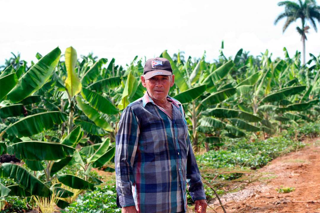 Campesino Jorge Luis Paredes.